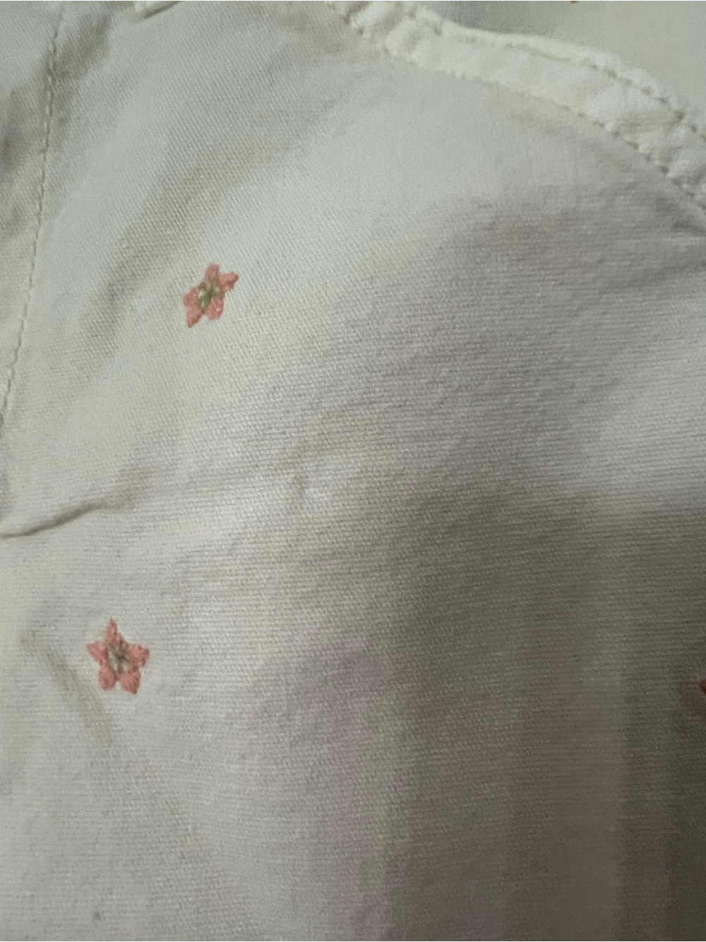 American Eagle Outfitters Beige Star Embroidered Frayed Hem Jean Shorts - Picture 3 of 7
